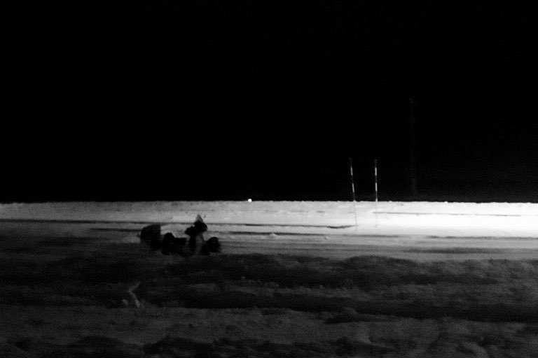 深夜の雪原に伸びる道
